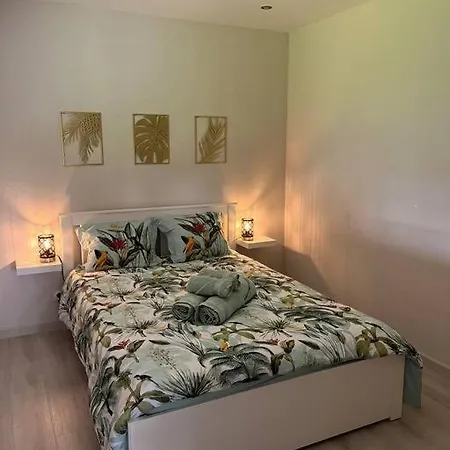 Appartement Le Peuplier Domaine Du Cygne *